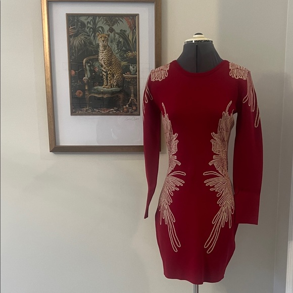 Aryeh Dresses & Skirts - Aryeh Red Long Sleeve Dress with Gold Embroidery